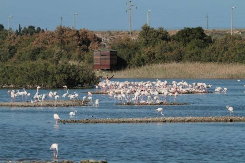 Verde Mare Isola Carrozziere Fonte Ciane Eksteriør bilde